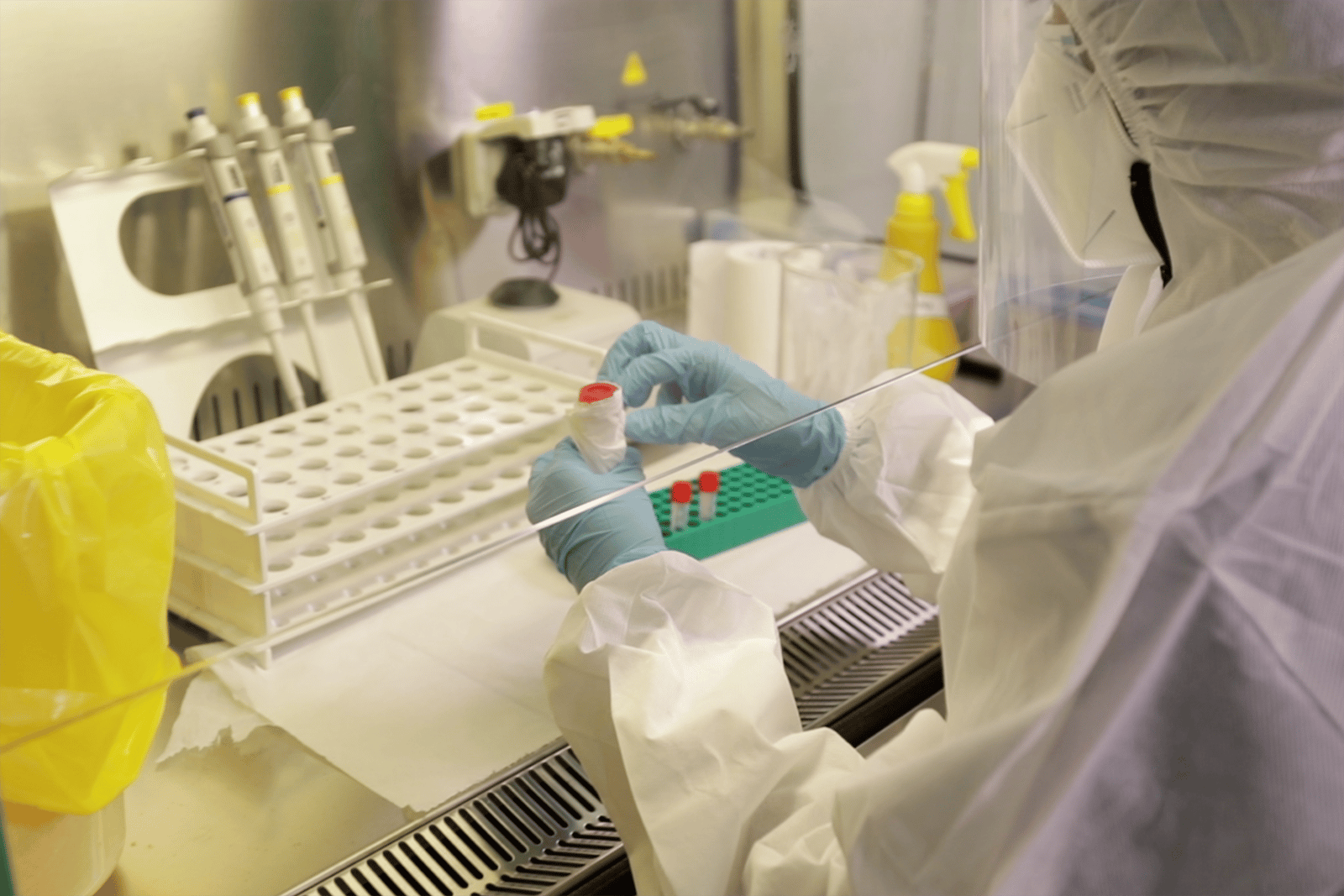 Researcher working in biosafety cabinet